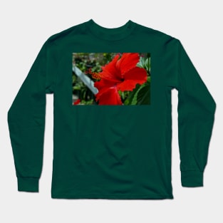 Hibiscus Flower Long Sleeve T-Shirt